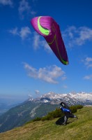 43: Aber Vollprofi René weiß…