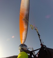 37: Speziell bei den zarten Bärten – wie hier spät abends – schwimmt mein M6 stets oben auf : PURE WONNE! :-)