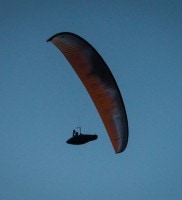 42: „Hallo ihr da unten – ich kann euch trotz Dämmerung noch erkennen!“ (Foto von Werner Luidolt)